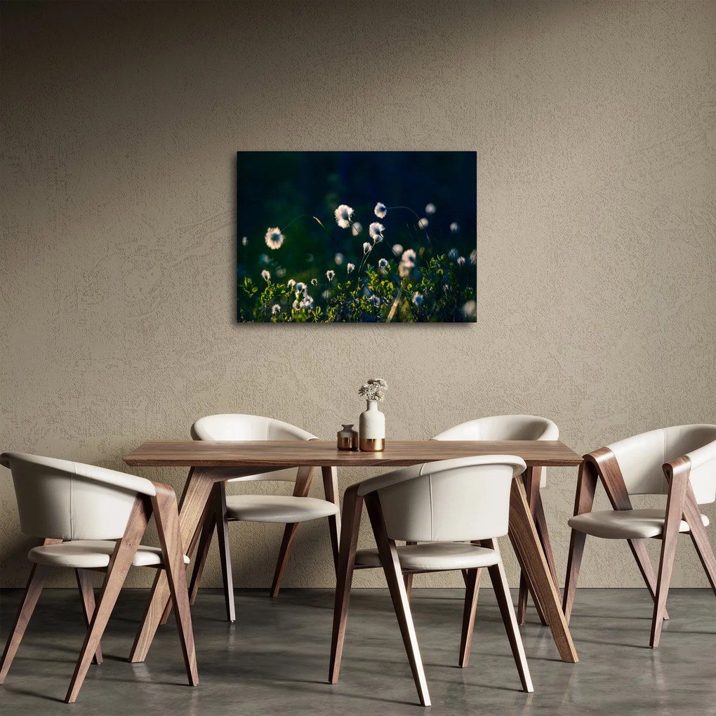 Obraz - Tráva (70x50 cm)
