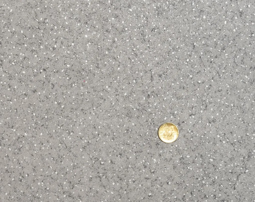 Lentex, PVC podlaha - lino Flexar PUR 542-01 sv. šedá, na mieru, šíře 2m,4m, šedá, bez podkladu, kancelária