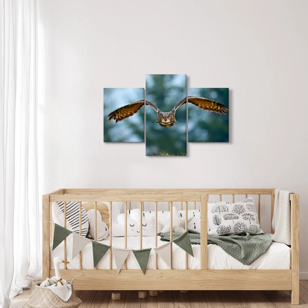 Obraz - Sova pri lete (90x60 cm)