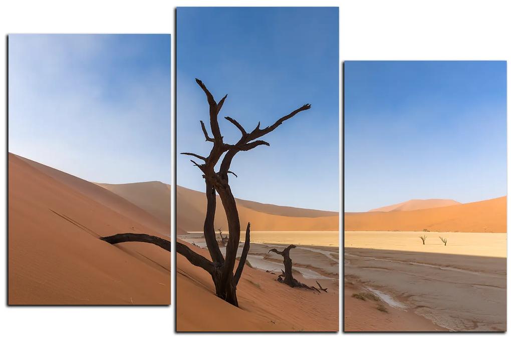 Obraz na plátne - Mŕtvy strom v dunach 1130D (120x80 cm)