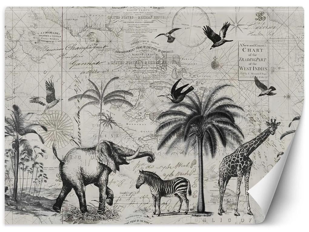 Gario Fototapeta Vintage mapa a savana - Andrea Haase Materiál: Vliesová, Rozmery: 200 x 140 cm