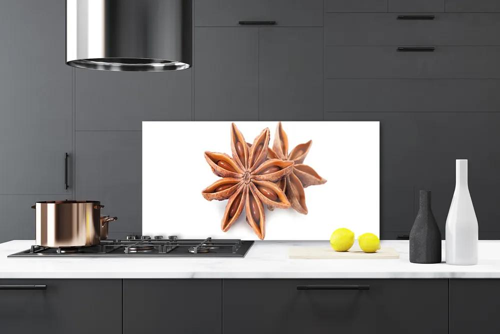 Sklenený obklad Do kuchyne Aníz hviezda príprava 125x50 cm