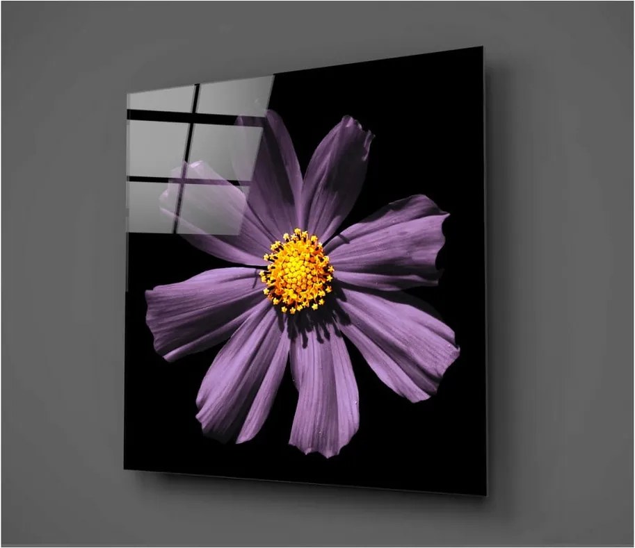 Čierno-ružový sklenený obraz Insigne Flowerina, 30 × 30 cm