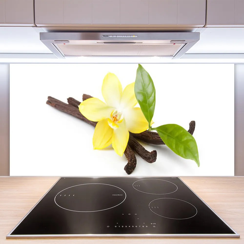 Sklenený obklad Do kuchyne Vanilka listy rastlina 140x70 cm