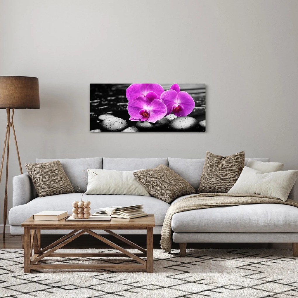 Obraz - Fialové orchidey (120x50 cm)
