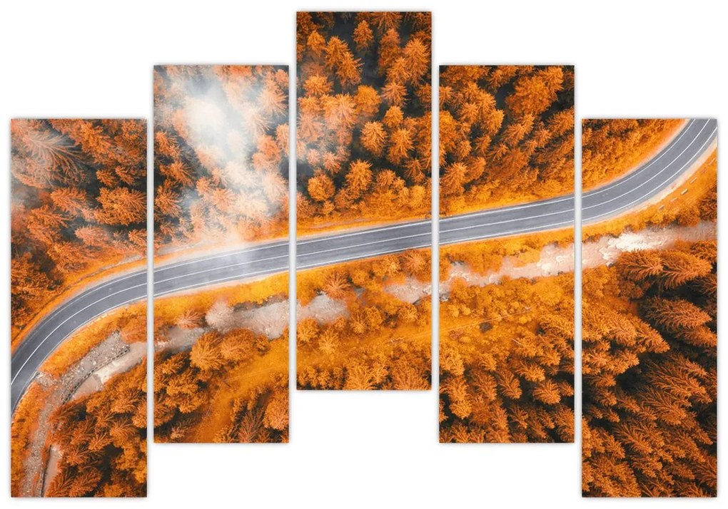 Cesta lesom - moderné obrazy na stenu