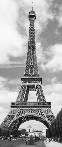 Fototapeta Eiffel Tower, rozmer 86 cm x 200 cm, fototapety W+G 524