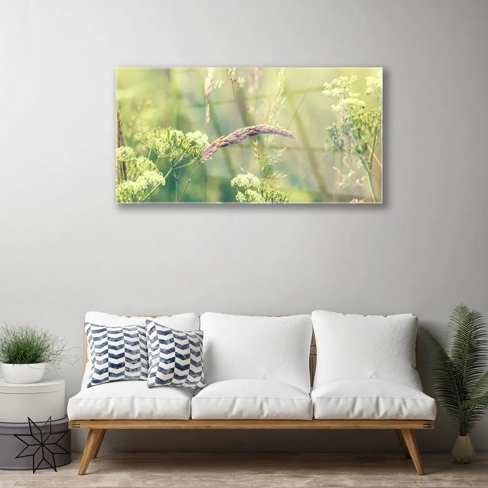 Skleneny obraz Divoké rastliny príroda 120x60 cm
