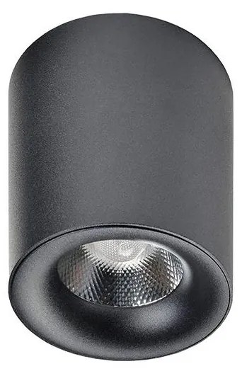 Azzardo AZ2844 - LED Stropné svietidlo MANE 1xLED/10W/230V AZ2844