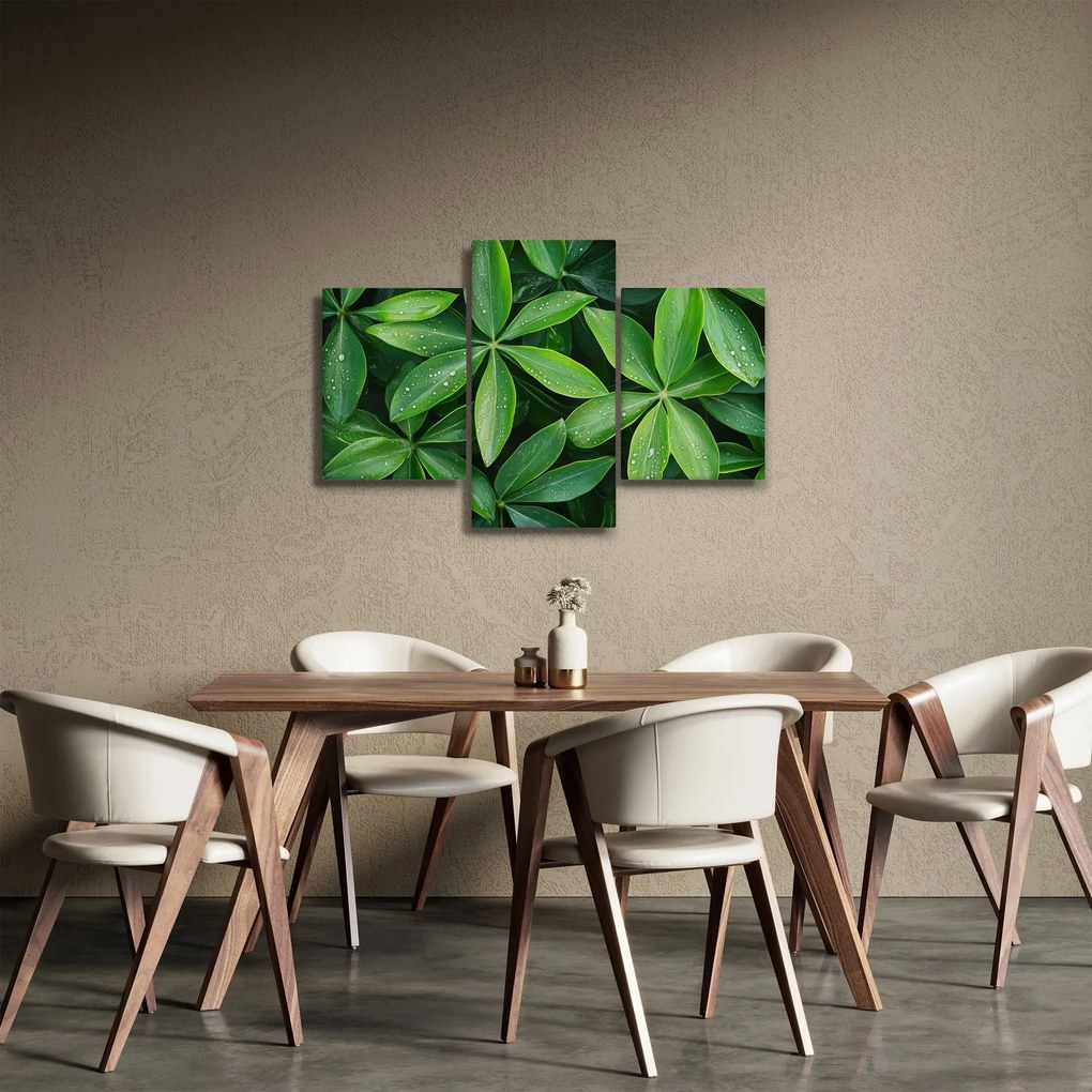 Obraz - Listy s kvapkami rosy (90x60 cm)