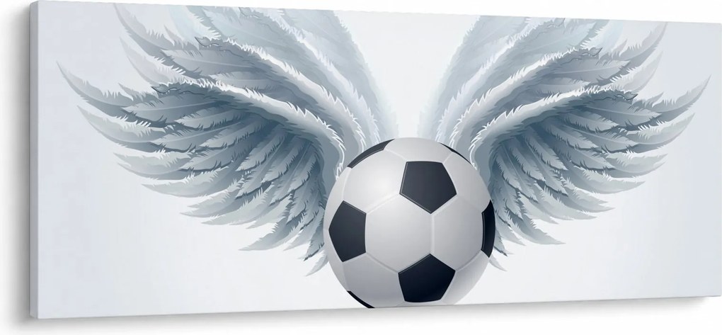 Obraz - Balón s krídlami (120x50 cm)
