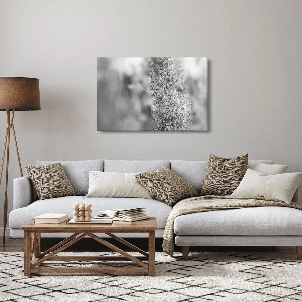 Obraz - Boho pampas grass (90x60 cm)