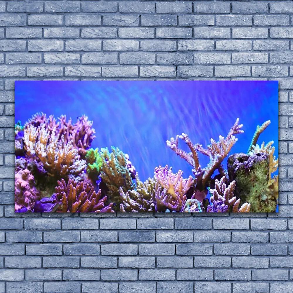 Obraz plexi Koralový útes príroda 120x60 cm