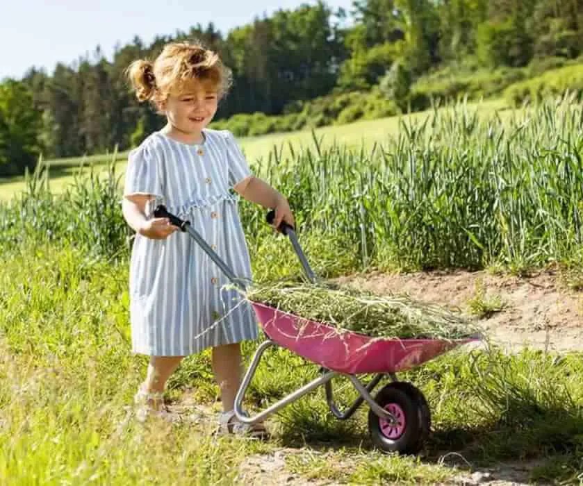 Detský záhradný fúrik kovový Rolly Toys zelený