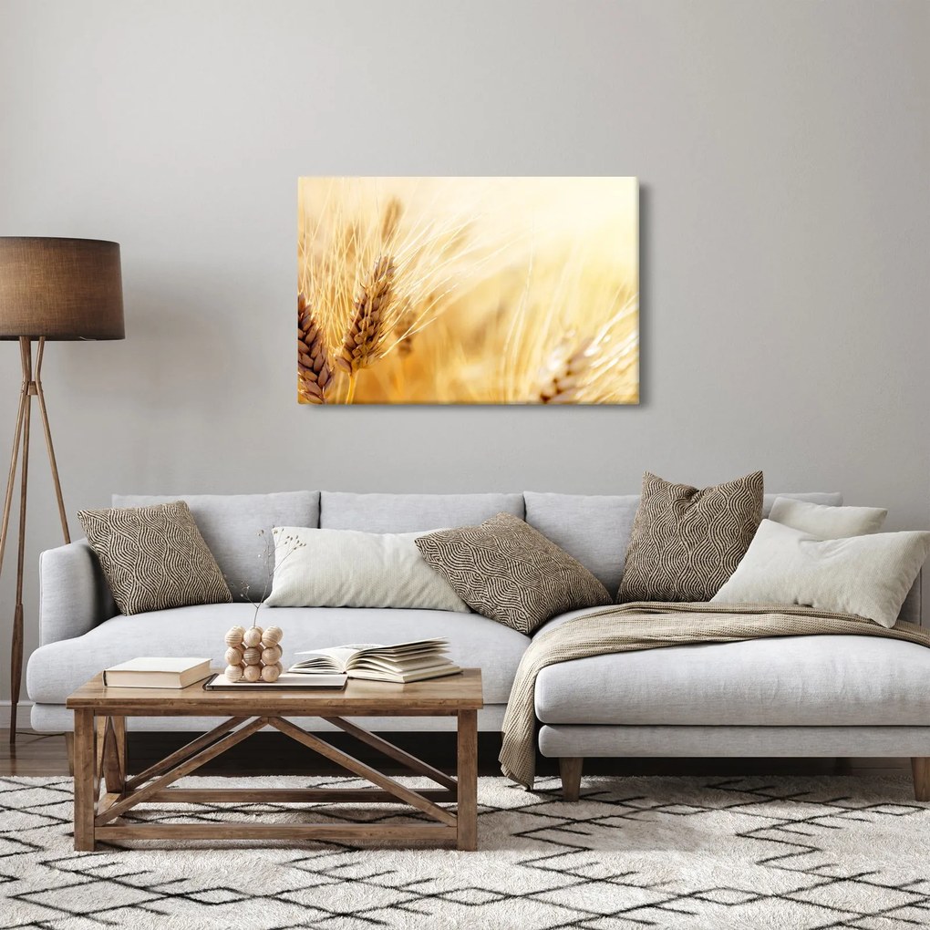 Obraz - detail obilia (90x60 cm)