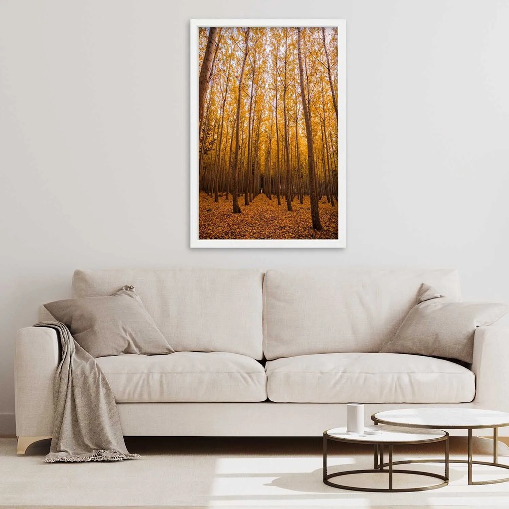 Gario Plagát Zlatý les na jeseň Farba rámu: Čierna, Rozmery: 20 x 30 cm