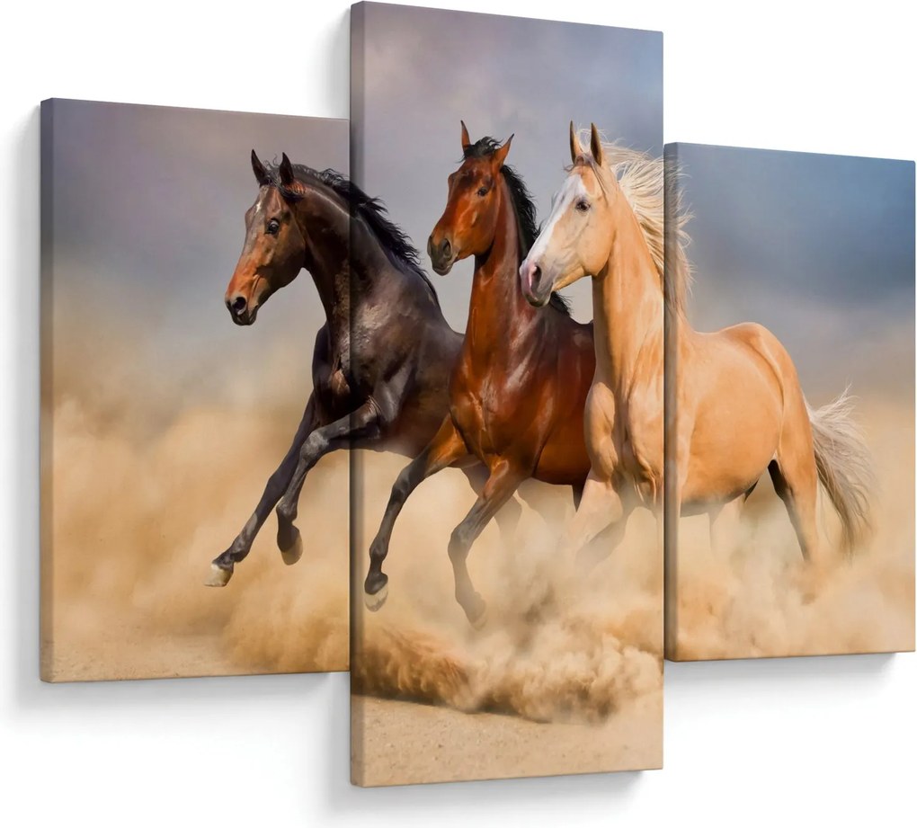 Obraz - Divé kone (90x60 cm)