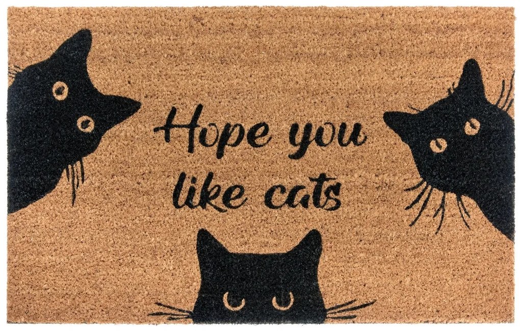 Hanse Home Collection koberce Rohožka Hope you like cats 105667 – na von aj na doma - 45x75 cm