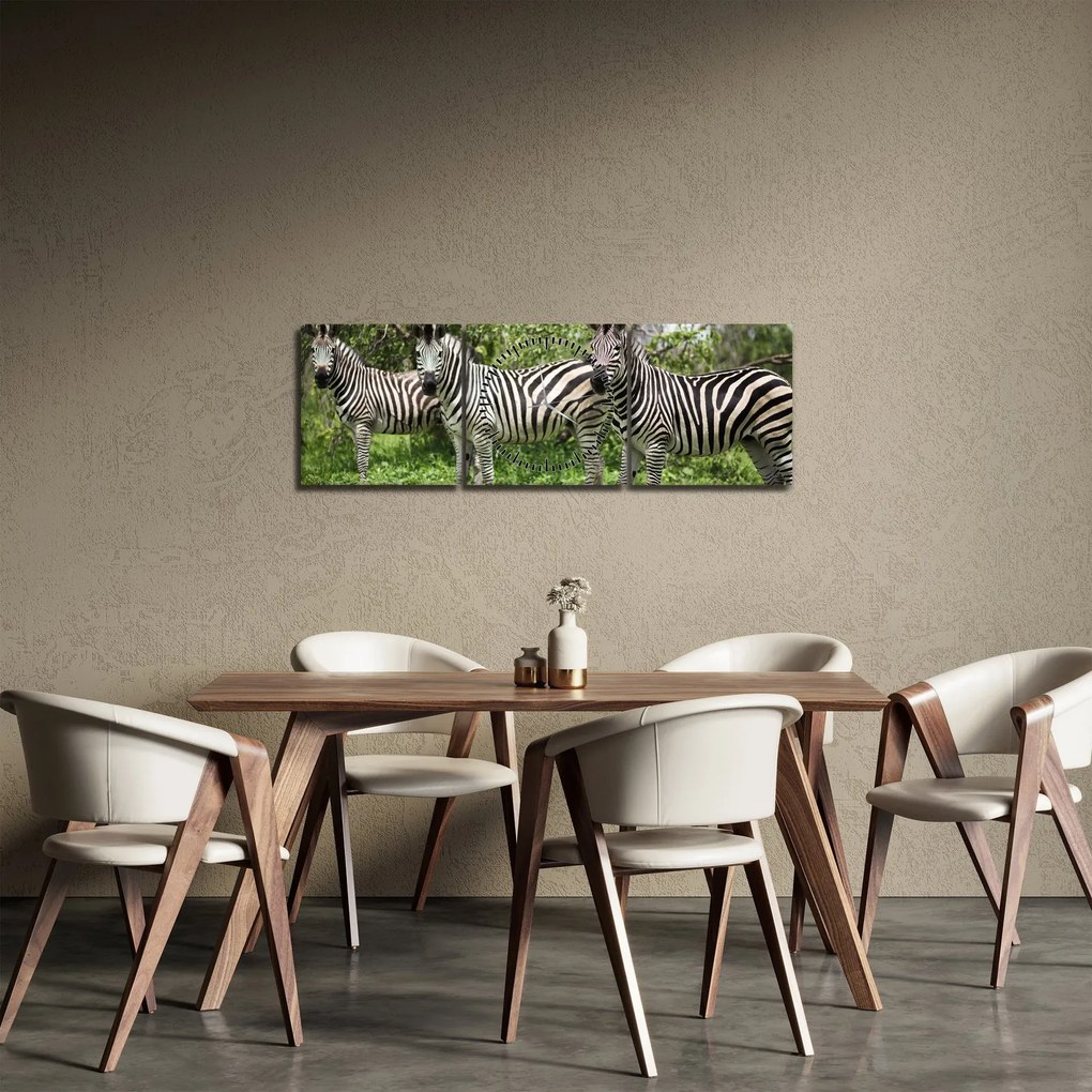 Obraz so zebrami (s hodinami) (90x30 cm)