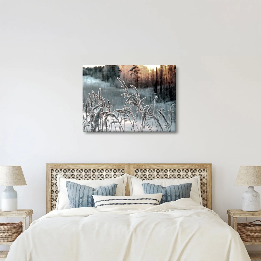 Obraz - Zamrznutá lúka (70x50 cm)