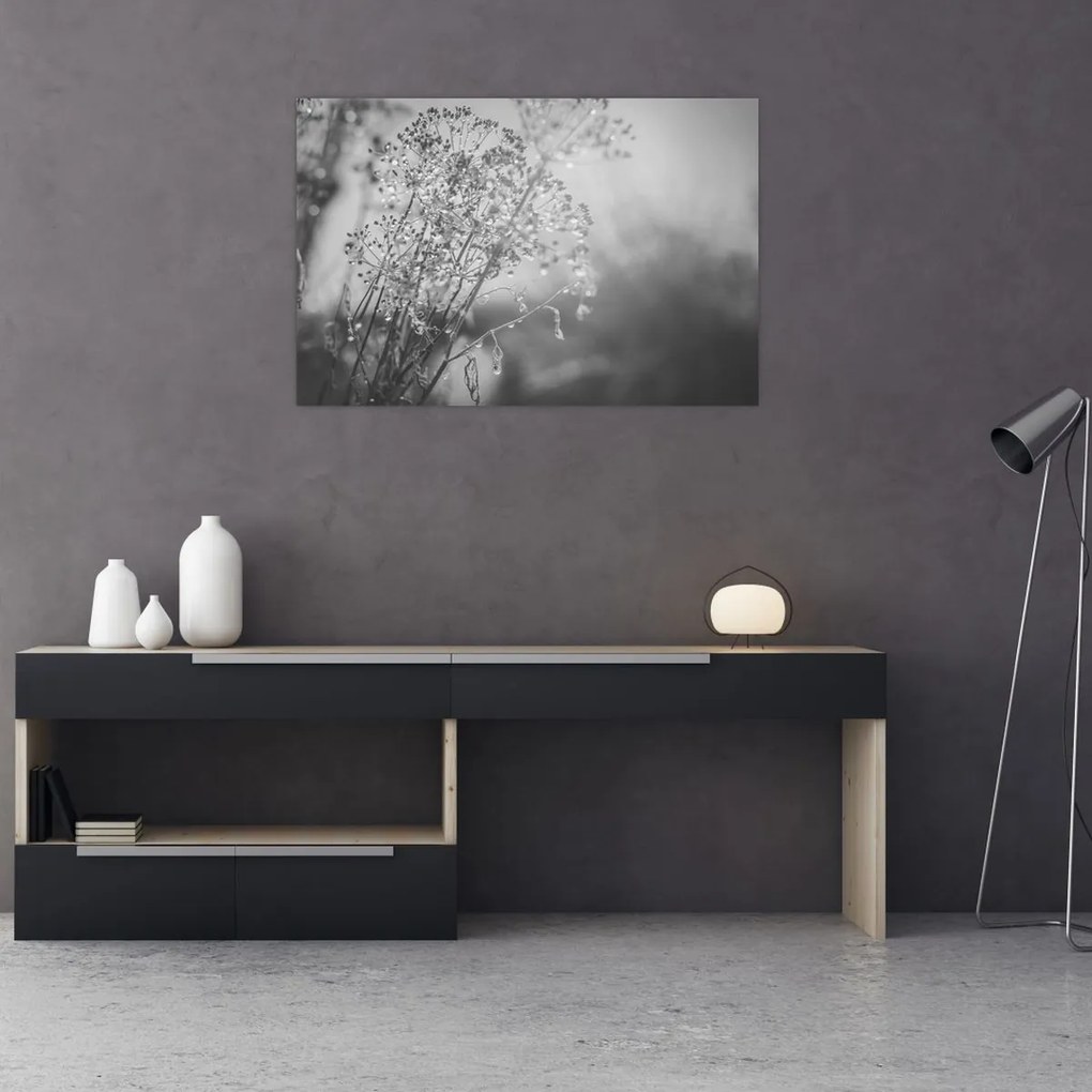 Obraz - Lúka po daždi (90x60 cm)