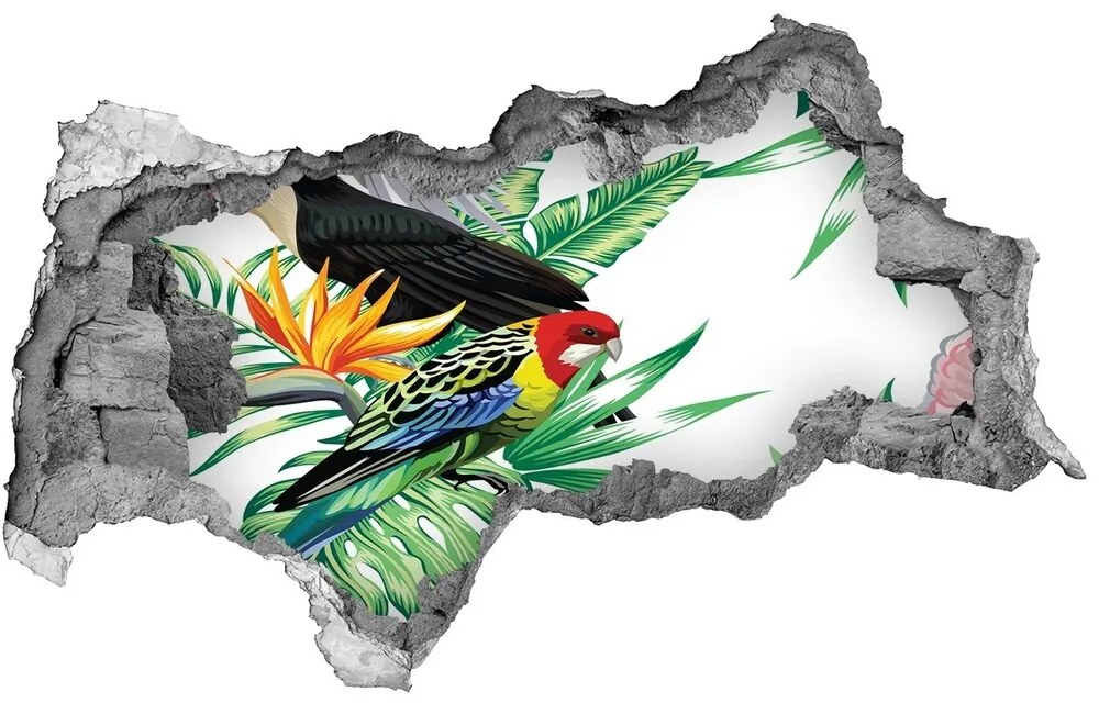 Diera 3D fototapeta nástenná Tropické vtáky nd-b-82973697
