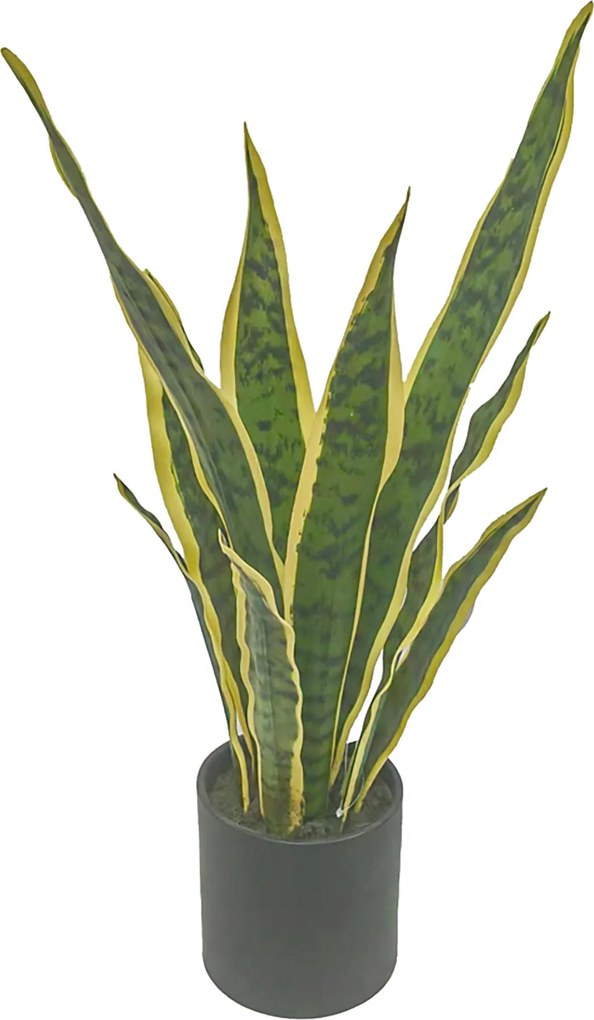 XXXLutz UMELÁ RASTLINA sansevieria 54 cm Ambia Home - Kvety & kvetináče - 0039530146