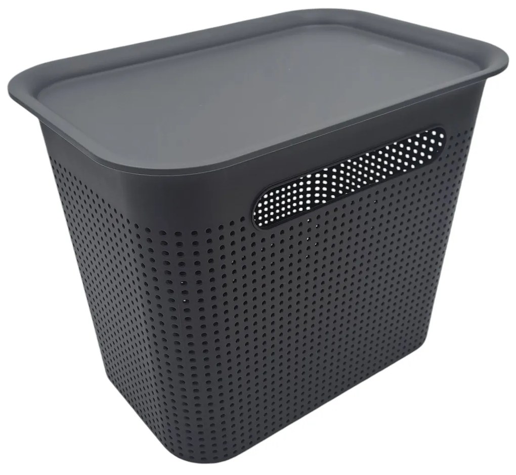 Rotho Úložný box s rúčkami BRISEN 7l, 26x18x21cm, čierny S vekom / Bez veka: S vekom