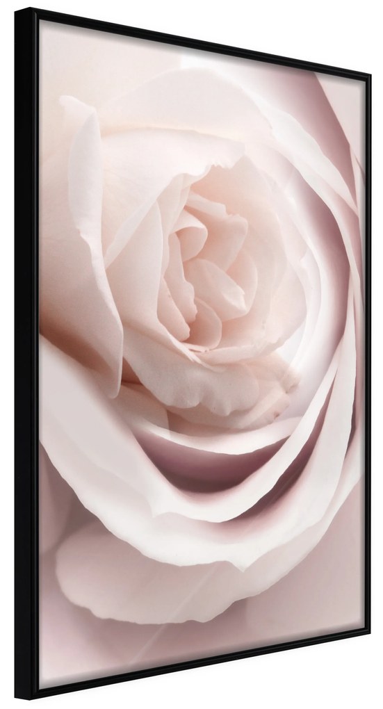 Artgeist Plagát - Porcelain Rose [Poster] Veľkosť: 30x45, Verzia: Zlatý rám s passe-partout