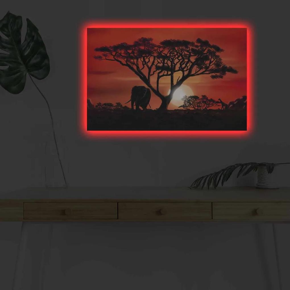 Obraz s LED osvětlením AFRICKÁ KRÁSA 53 45 x 70 cm