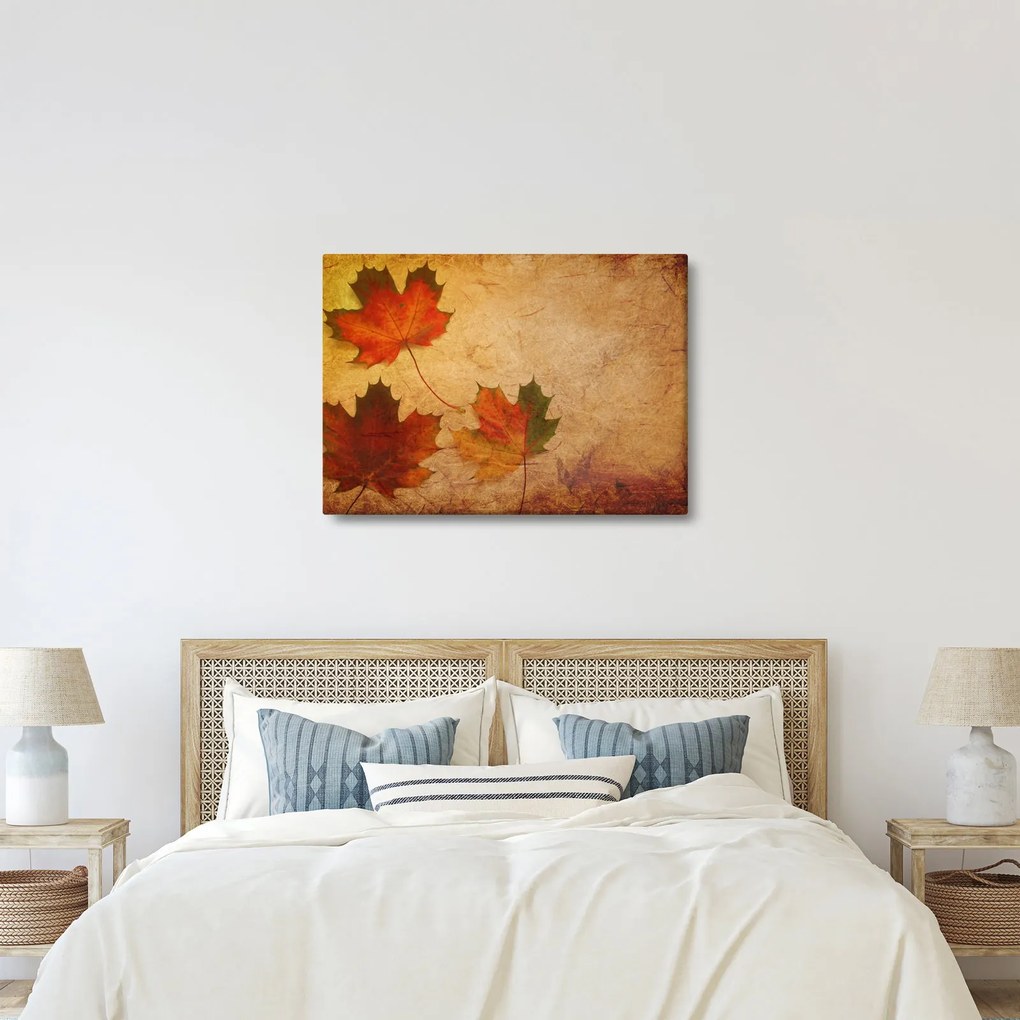 Obraz s jesenným motívom (70x50 cm)
