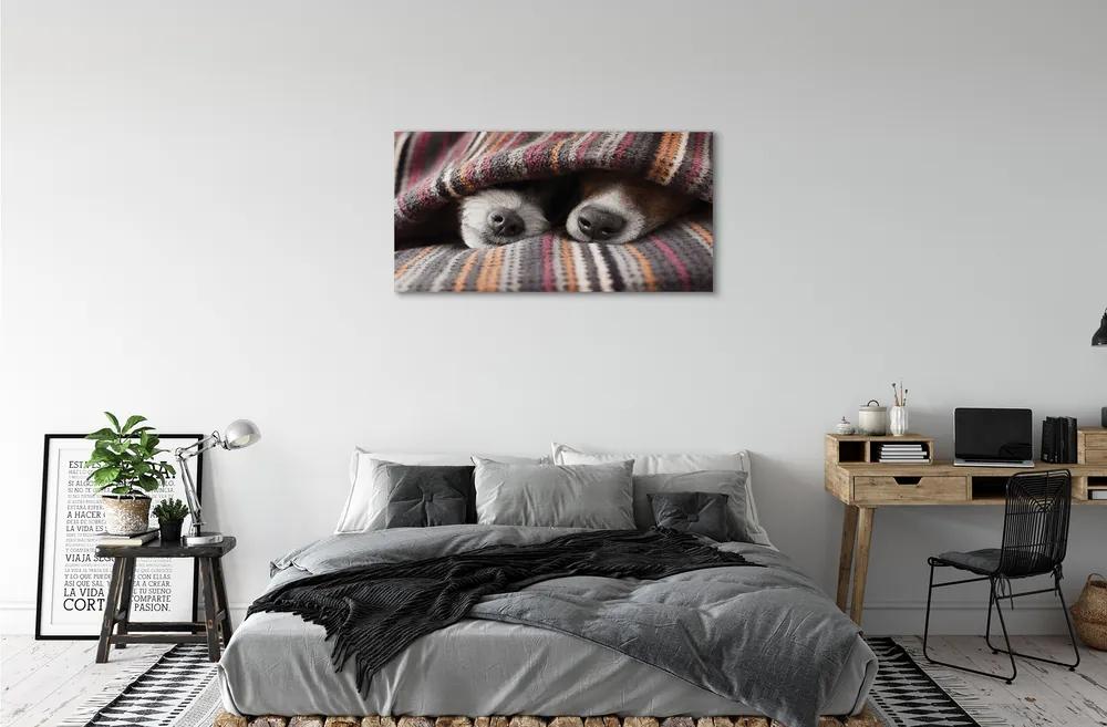 Obraz na plátne spiace psy 120x60 cm