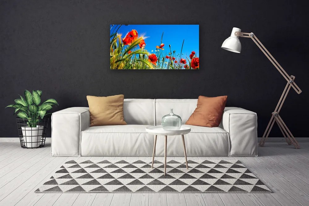 Obraz Canvas Kvety maky pole trávy 140x70 cm