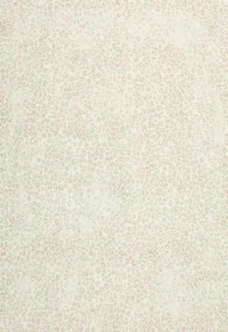 Luxusní koberce Osta Kusový koberec Piazzo 12268 100 - 160x230 cm