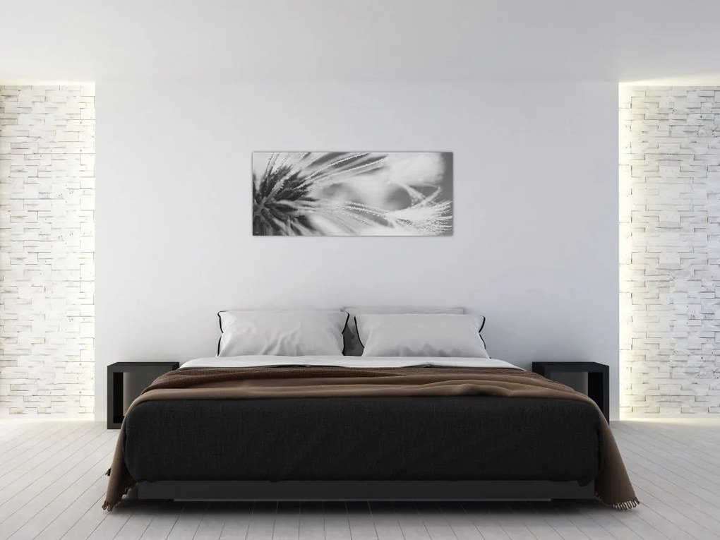 Obraz - Púpava (120x50 cm)