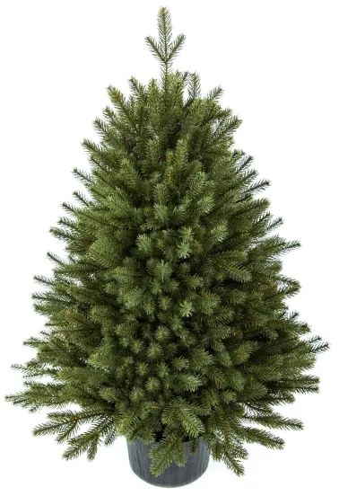 Vianočný stromček FULL 3D Smrek Alpský 100 cm v kvetináči
