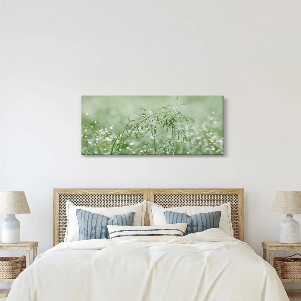 Obraz - Rosa v tráve (120x50 cm)