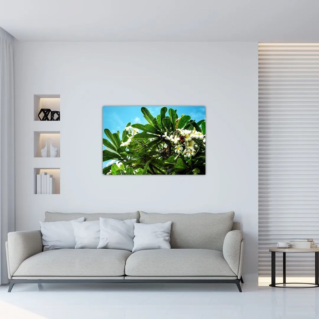 Obraz - Plumeria (90x60 cm)