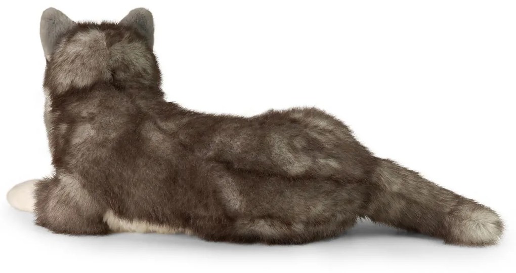 Rappa Plyšový pes husky ležiaci 60 cm