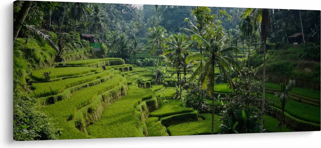 Obraz ryžových terás Tegalalang, Bali (120x50 cm)