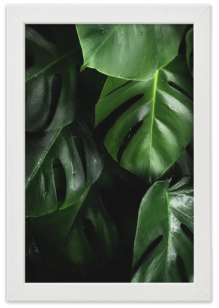 Gario Plagát Šťavnatá zelená Farba rámu: Bez rámu, Rozmery: 40 x 60 cm