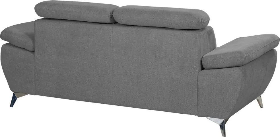 Dvojsedák Gisele, stredne šedá