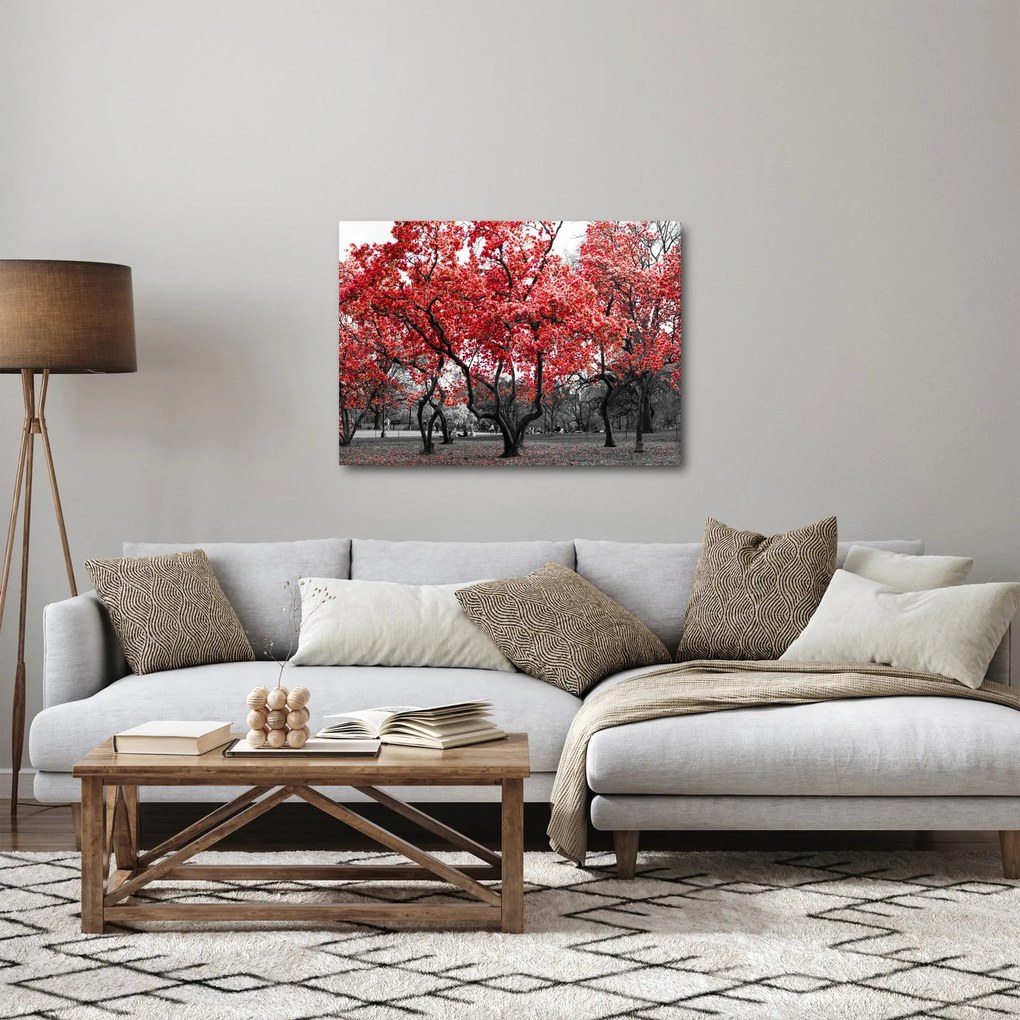 Obraz - Červené stromy, Central Park, New York (70x50 cm)