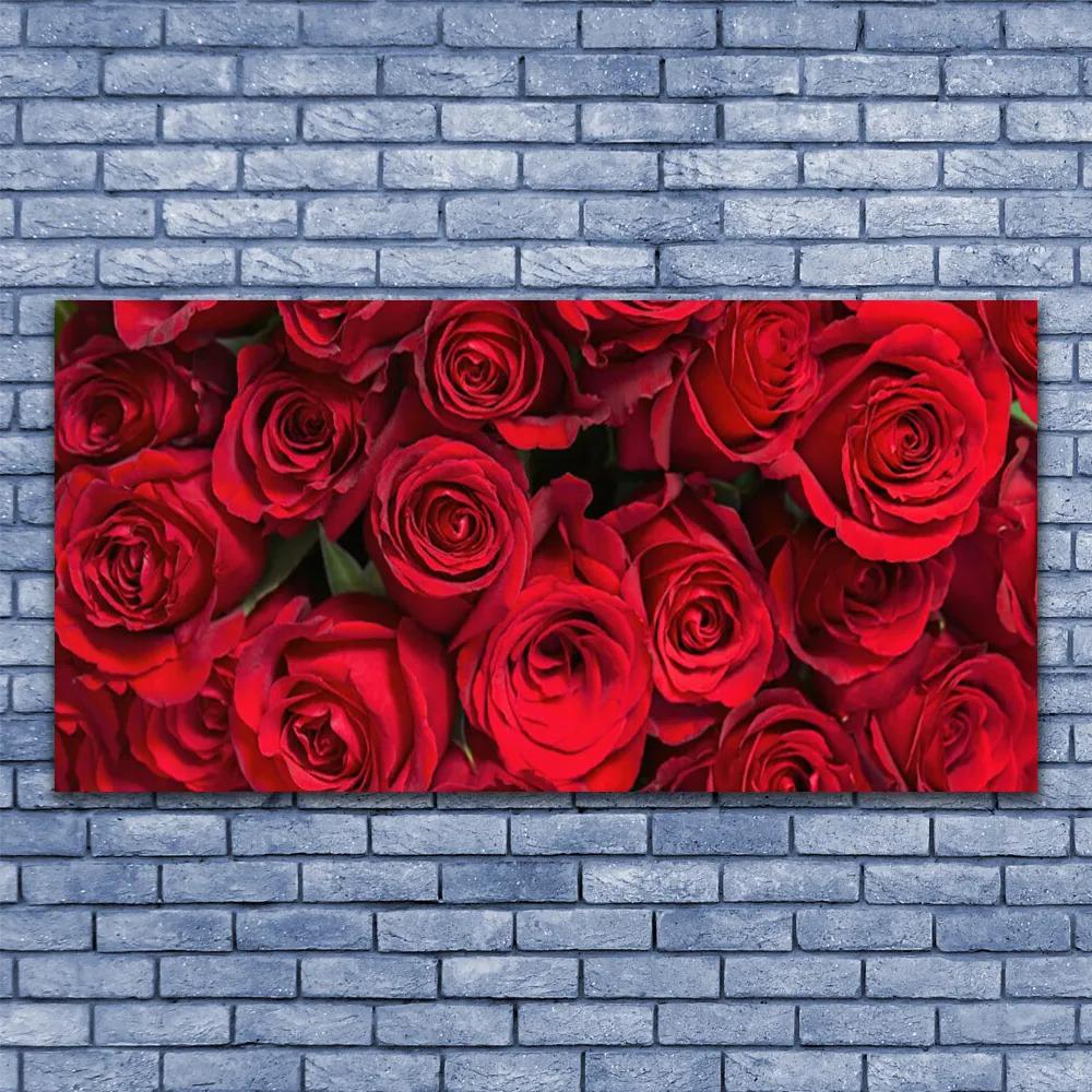 Obraz plexi Červené ruže kvety príroda 120x60 cm