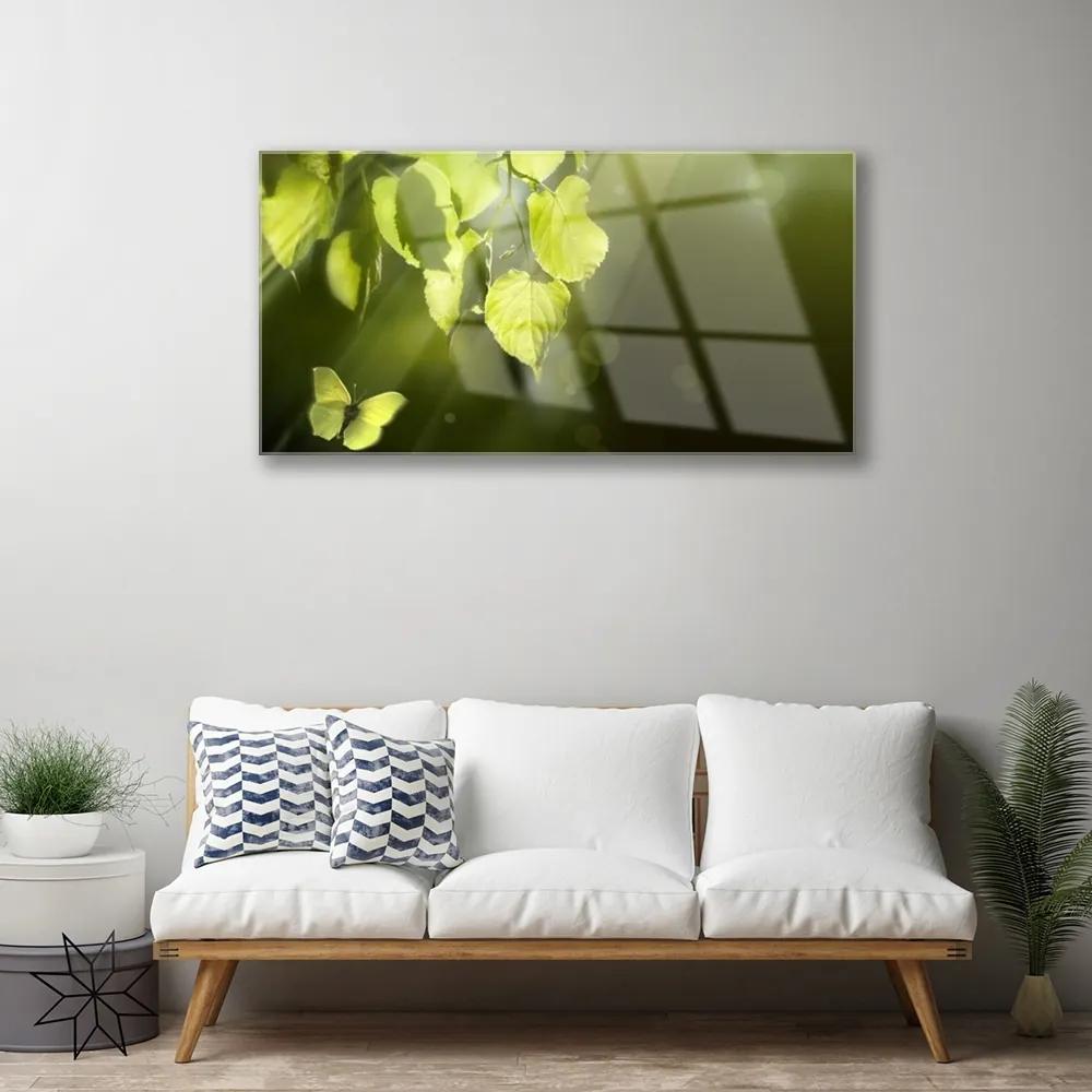 Skleneny obraz Listy slnko lúče 100x50 cm
