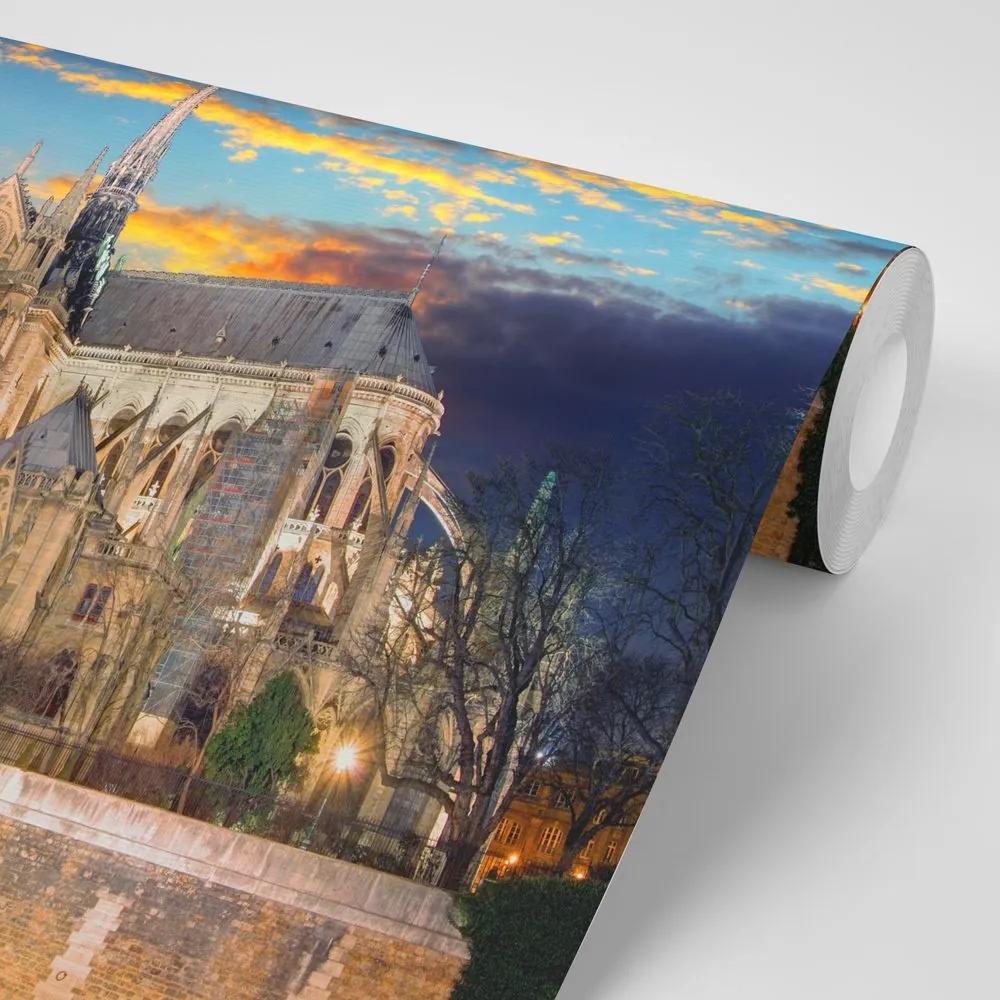 Fototapeta katedrála Notre Dame - 150x100