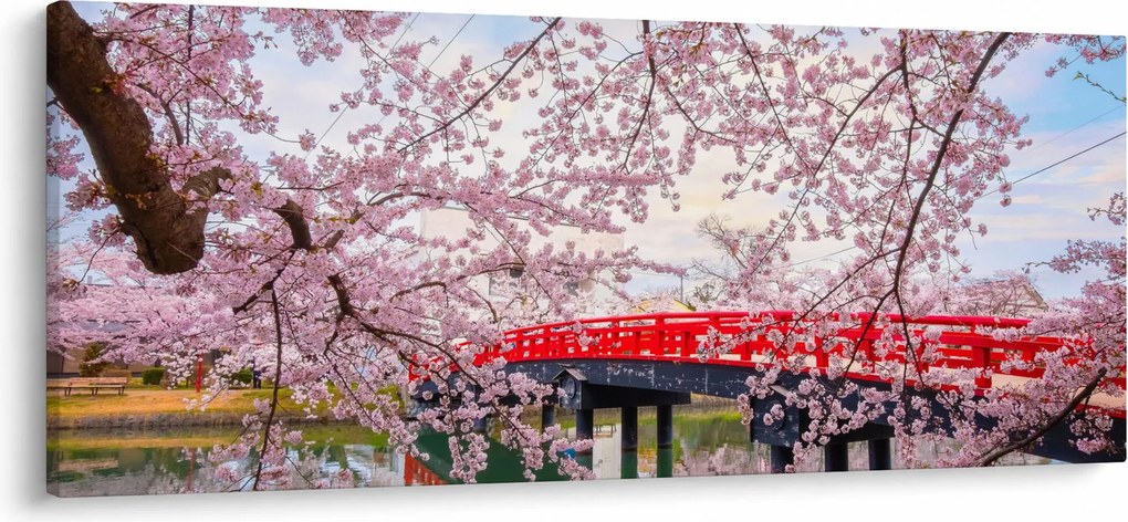 Obraz - Hirosaki, Japonsko (120x50 cm)