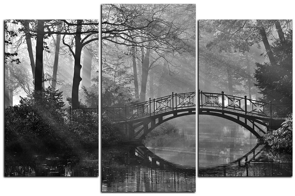 Obraz na plátne - Starý most  1139QC (150x100 cm)