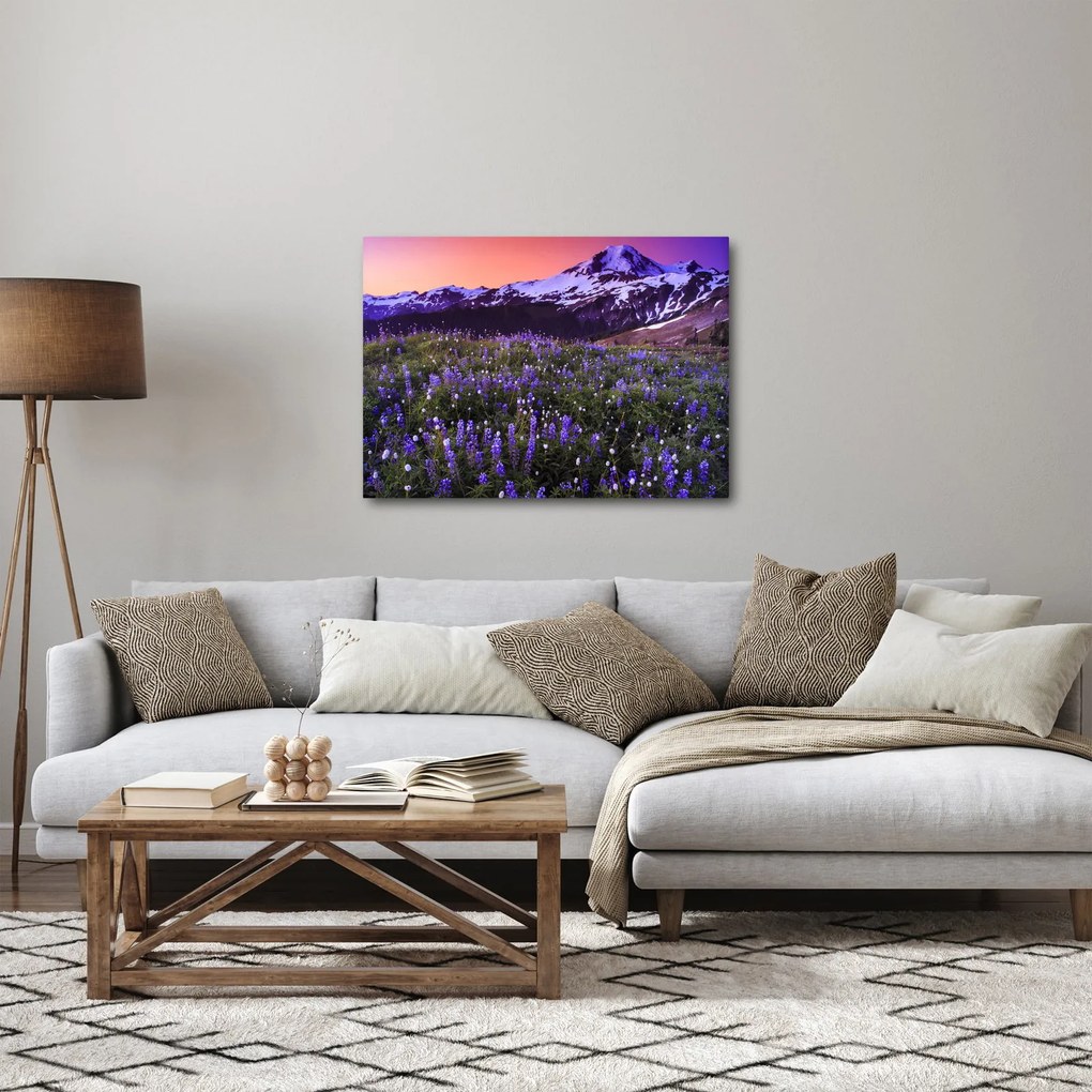 Obraz - Sopka a kvety (70x50 cm)