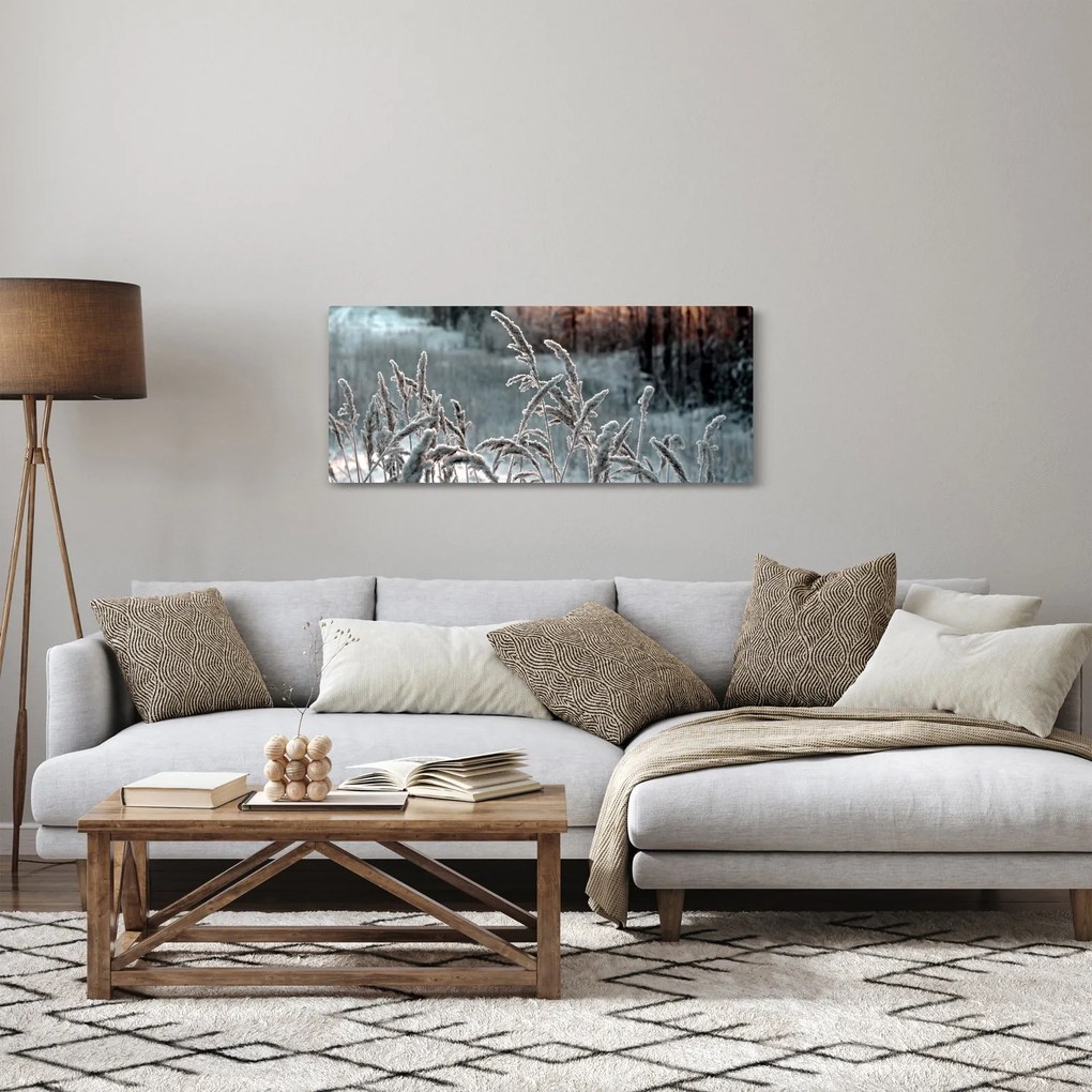 Obraz - Zamrznutá lúka (120x50 cm)